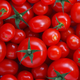 Illustration for article titled We Can Live Without Fable IIIs Scuttled Kinect Tomato Game